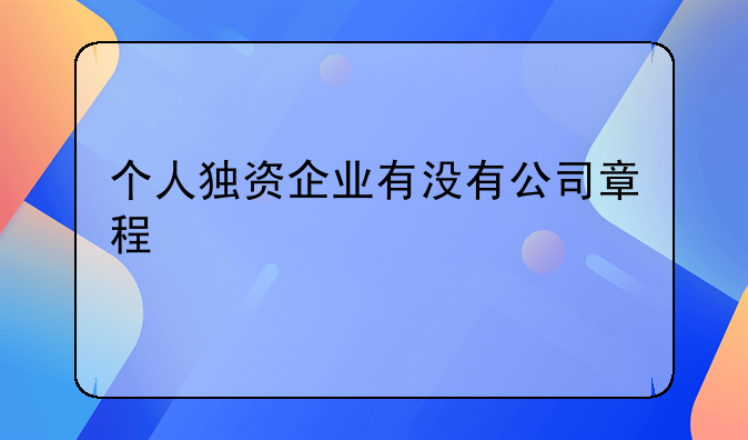 个人独资企业有没有公司章程