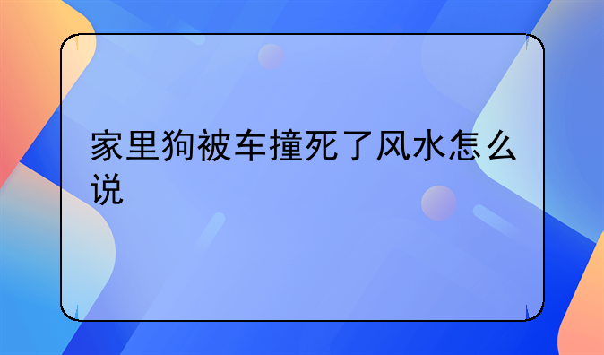 家里狗被车撞死了风水怎么说