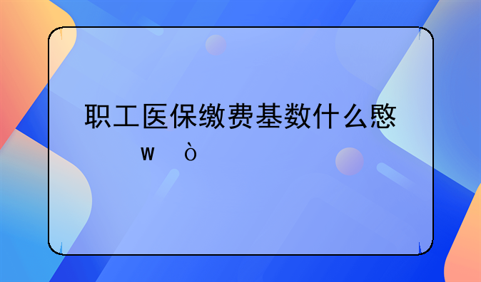 职工医保缴费基数什么意思？