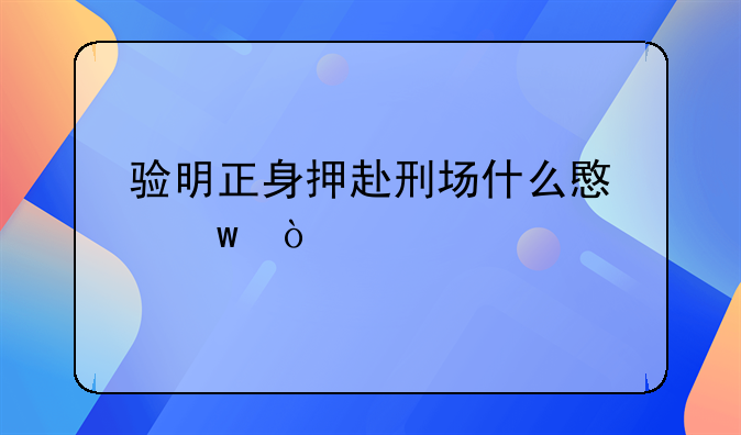 验明正身押赴刑场什么意思？