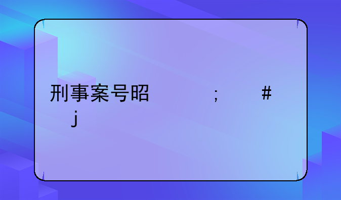 刑事案号是怎么样的