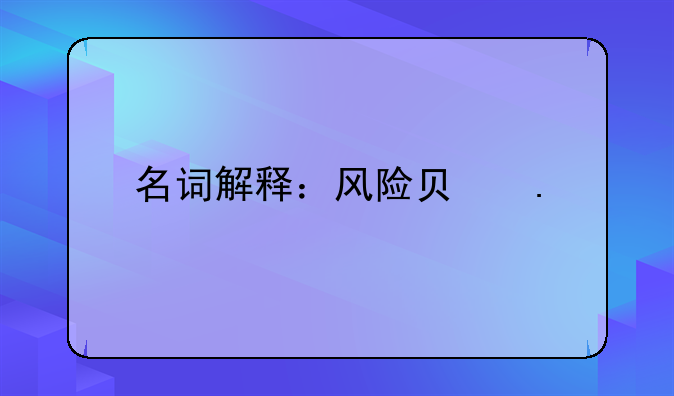 名词解释：风险负担