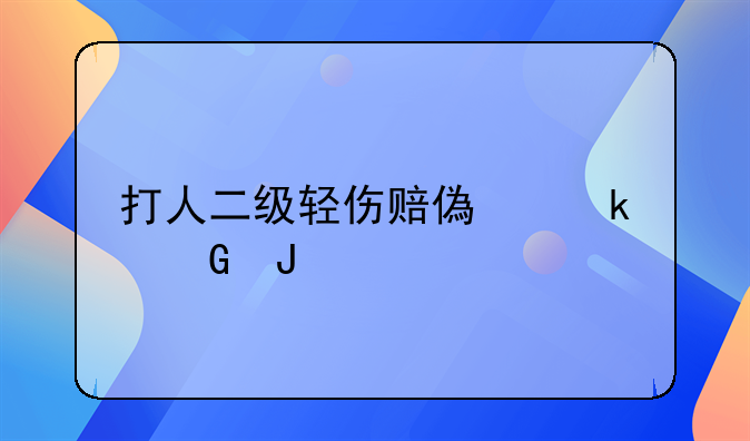 打人二级轻伤赔偿多少钱
