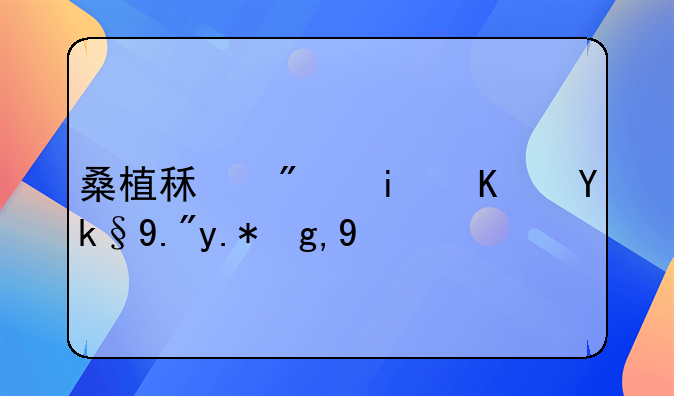 桑植租房最便宜三个地方