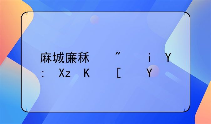 麻城廉租房有哪几个小区