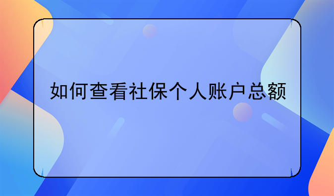 如何查看社保个人账户总额