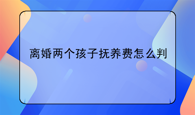 离婚两个孩子抚养费怎么判