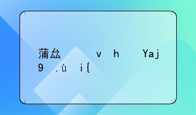 蒲县租房全攻略：寻找理想居所的深度解析
