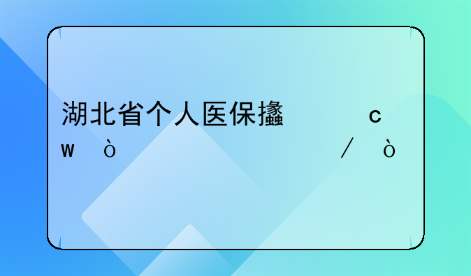 湖北省个人医保支付宝缴费流程？