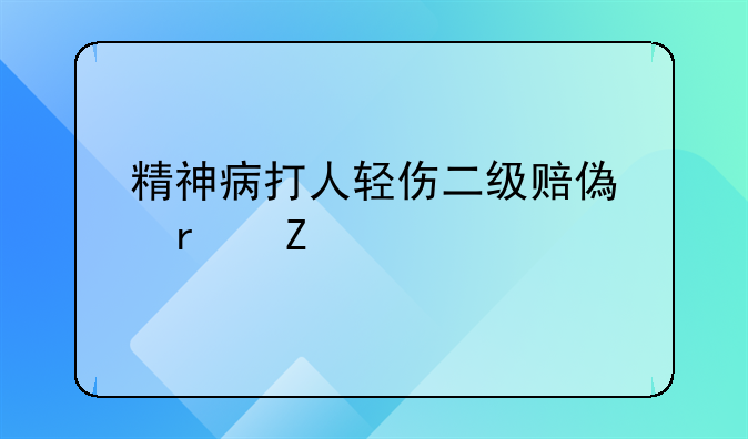 精神病打人轻伤二级赔偿最新标准