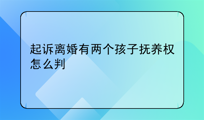起诉离婚有两个孩子抚养权怎么判