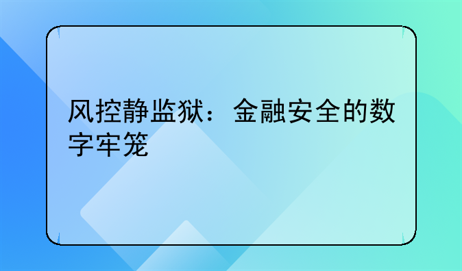 风控静监狱：金融安全的数字牢笼