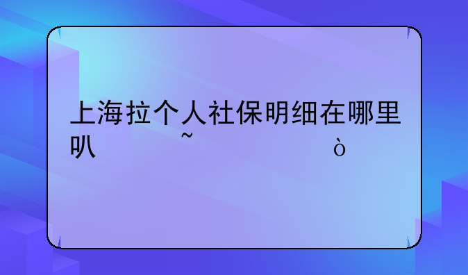 上海拉个人社保明细在哪里可以查询？
