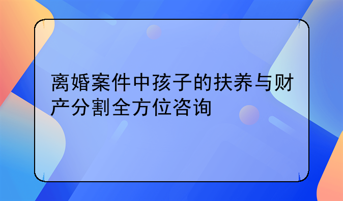 离婚案件中孩子的扶养与财产分割全方位咨询