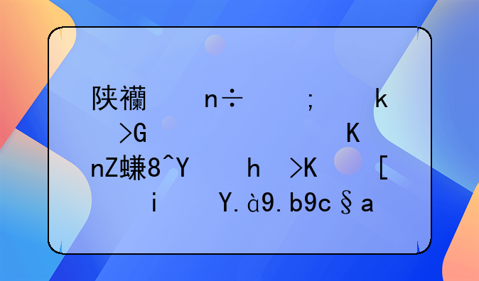 陕西国税通发票软件安装后打不开是什么原？