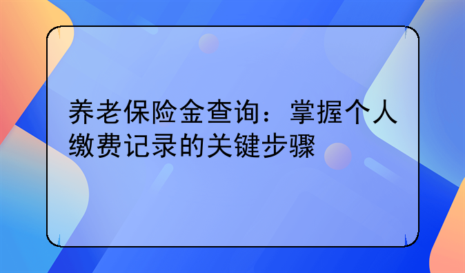 养老保险金查询：掌握个人缴费记录的关键步骤