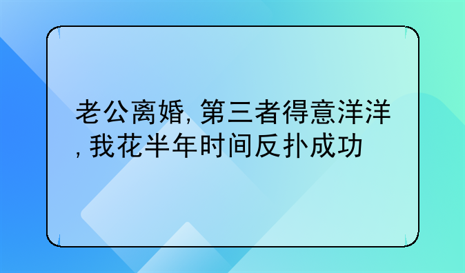 老公离婚,第三者得意洋洋,我花半年时间反扑成功