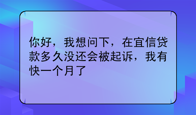 你好，我想问下，在宜信贷款多久没还会被起诉，我有快一个月了