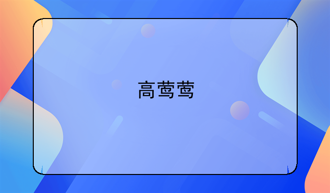 高莺莺