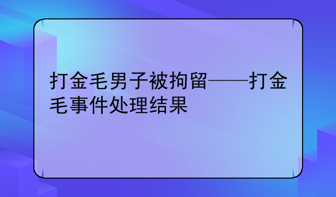 打金毛男子被拘留——打金毛事件处理结果