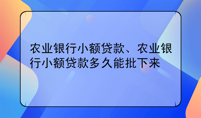 农业银行小额贷款、农业银行小额贷款多久能批下来